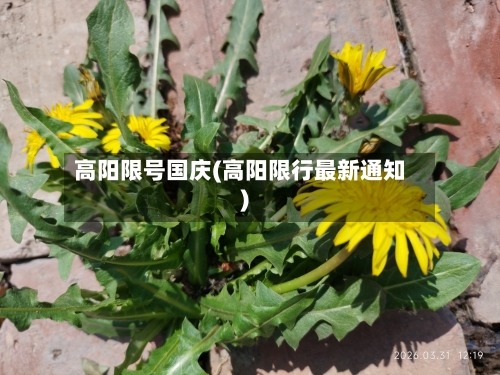 高阳限号国庆(高阳限行最新通知)